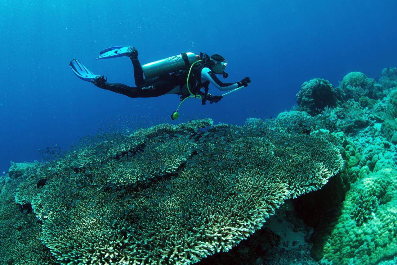 Murex Dive Resort Manado Exterior foto